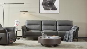 Product picture：Furniture factoryCBD家居Home Furnitureproduct name《Queen Technology Sofa N016》议价