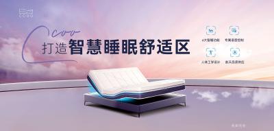 美亚实业past-2004 深圳美亚实业收购MPE BEDDING 品牌商标全球使用权
2007【图10】