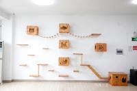 Furniture factory华茂工艺past:1999-2000年
以手工作坊起家开创业之路
2000年6月12日领照挂牌并命名为台州华茂工艺品有限公司

2002年
温岭市工业城内自建40亩厂区并成为入驻企业
逐步建立起完善的组织架构和科学的管理体系，为企业迈向正规化奠定扎实基础

2003-2006年
接到外国商人的订单
正式聘请职业经理人管理团队为公司问诊把脉

2008-2013年
突破全球经济危机困境
2【图1】