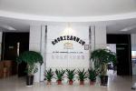 华茂工艺Honor-公司综合实力

1. 行业排名：
国际排名：前十名，市【图2】