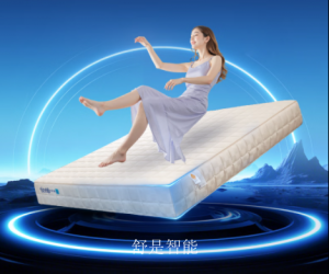 舒是智能Smart homeproduct《Intelligent bed》议价