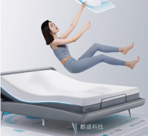 Product picture：Furniture factory麒盛科技Smart homeproduct name《AI Smart Bed》议价