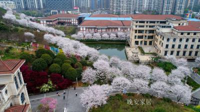晚安家居pirit-晚安文化园

园区总览
晚安家居文化园，总体面积200亩，是集工业旅游、科【图3】