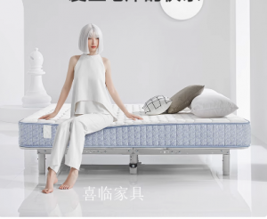 Product picture：Furniture factory喜临门Smart homeproduct name《Smart High-End Upholstered Bed》议价