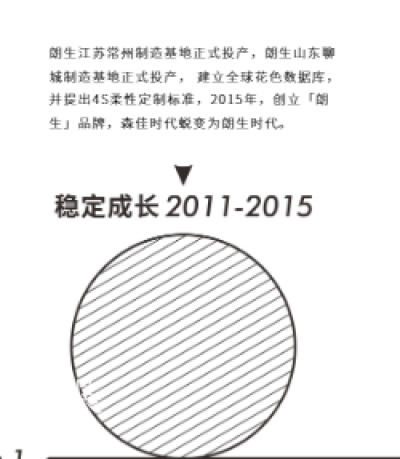 朗生整装past-朗生整装，历经四个关键发展阶段。
并在企业定位和企业发展两个维度持续进化。
【图2】