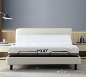 Product picture：Furniture factory梦百合Smart homeproduct name《Modern Minimalist Zero-Pressure Smart Bed》议价