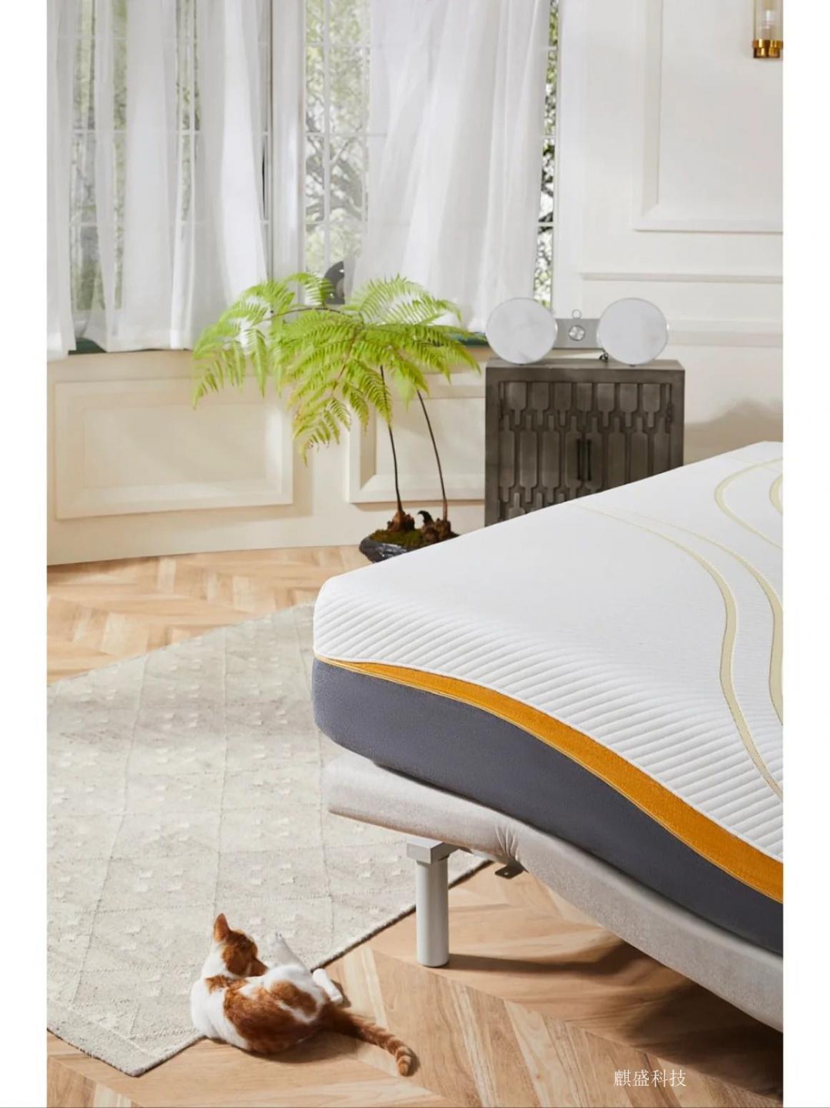 麒盛科技Smart homeProduct《Modern Smart Bed》【图3】