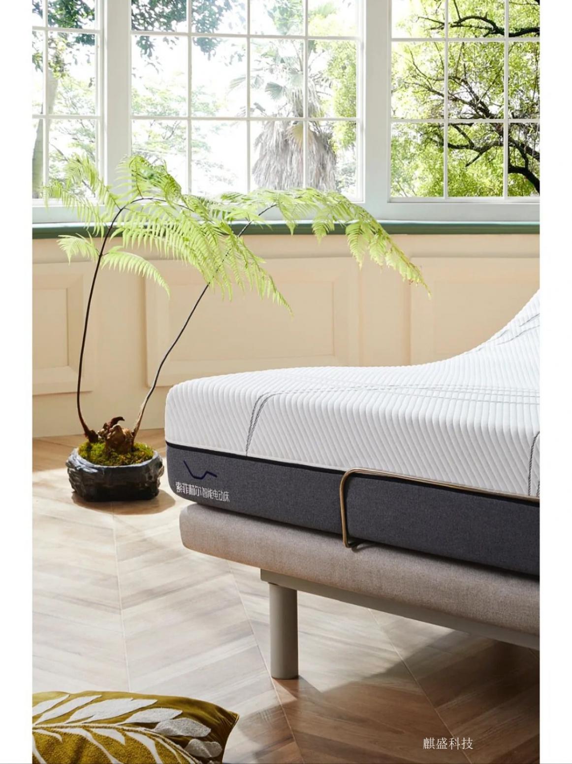 麒盛科技Smart homeProduct《Modern Smart Bed》【图6】