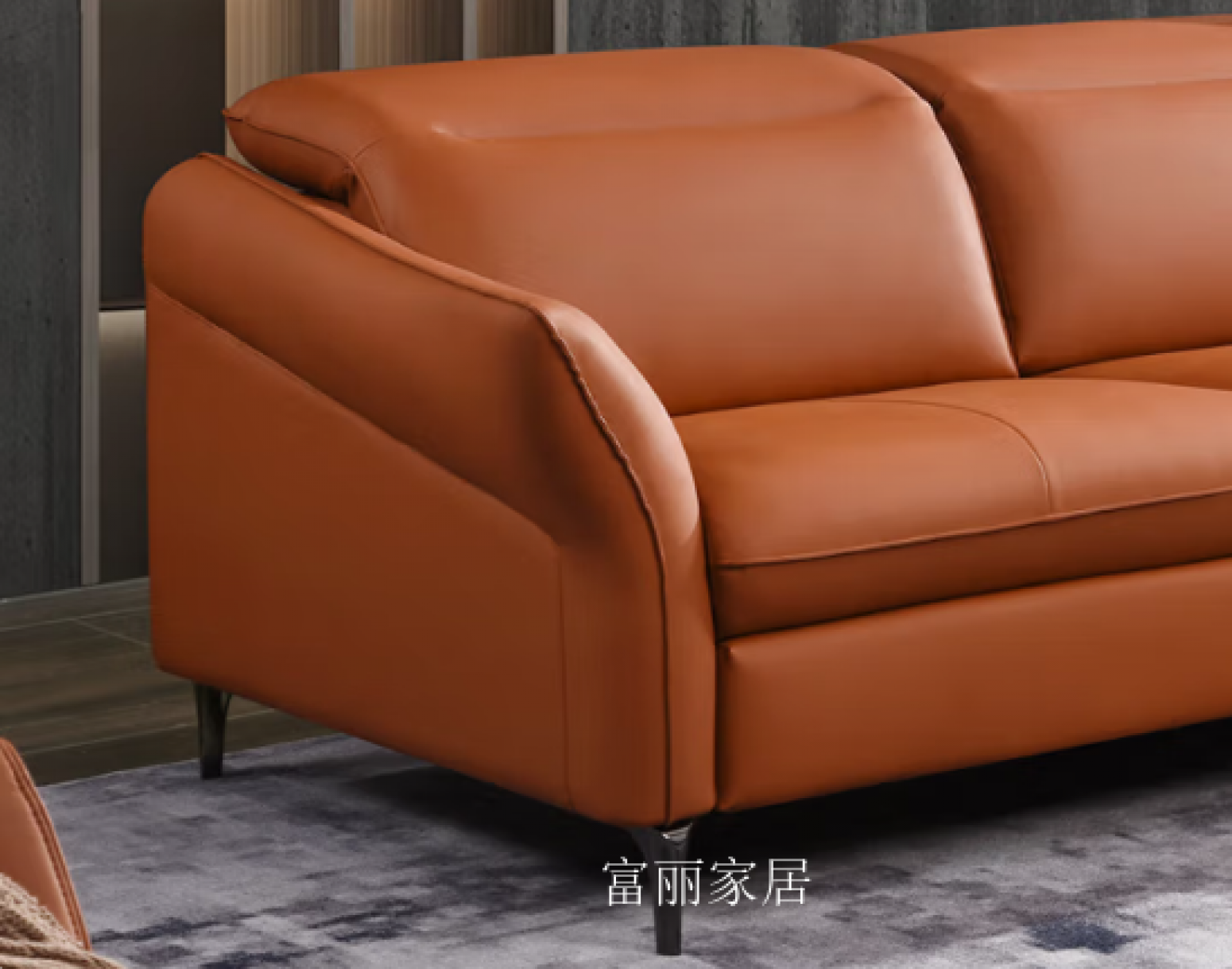 富丽家居Home FurnitureProduct《Leather Lounge Sofa with Cowhide Accents》【图2】