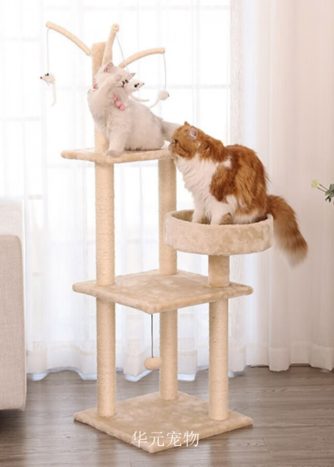华元宠物Pet furnitureProduct《Cat》【图1】
