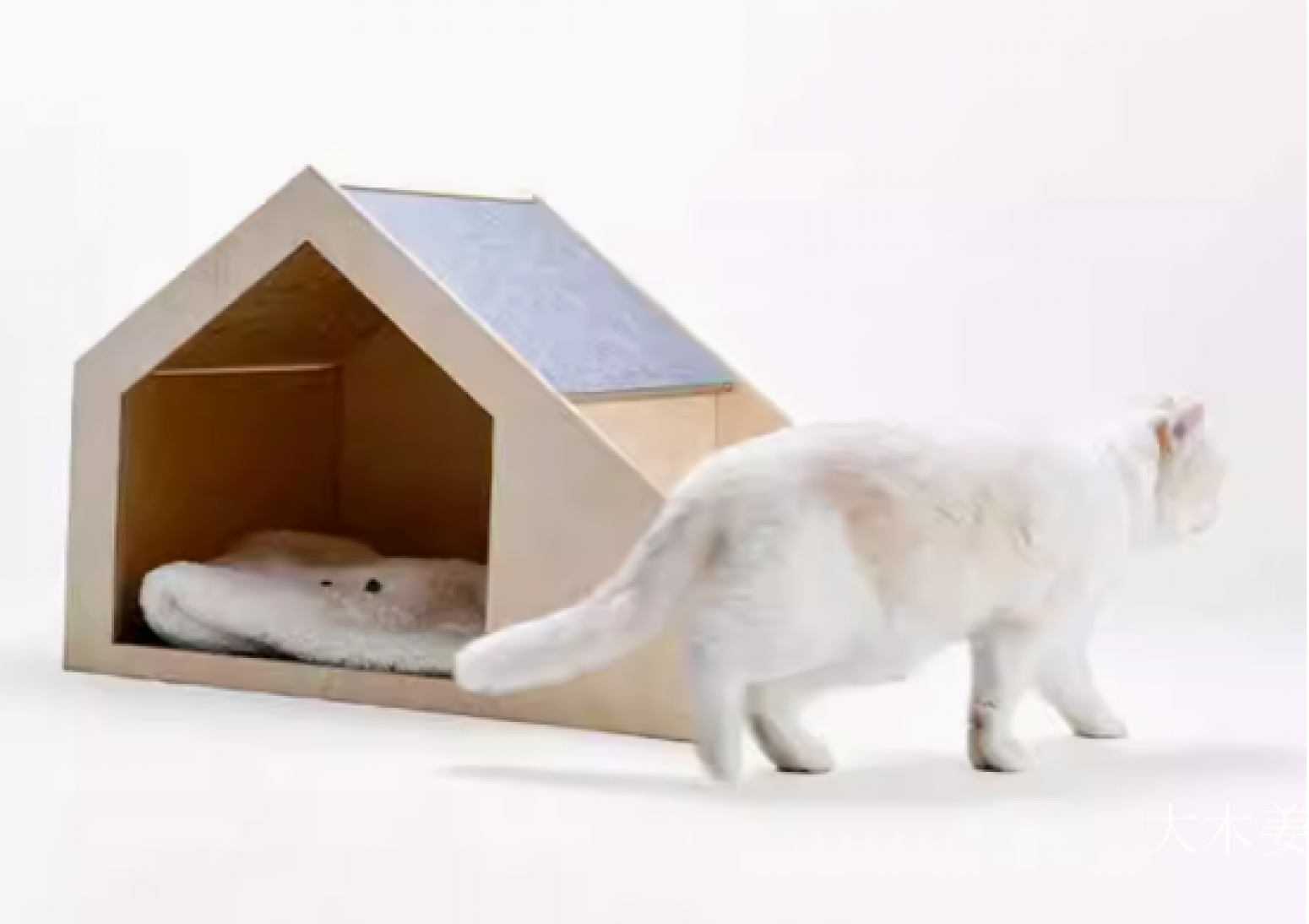 大木姜 Pet furniture Product 《Wooden cat bed》【图2】