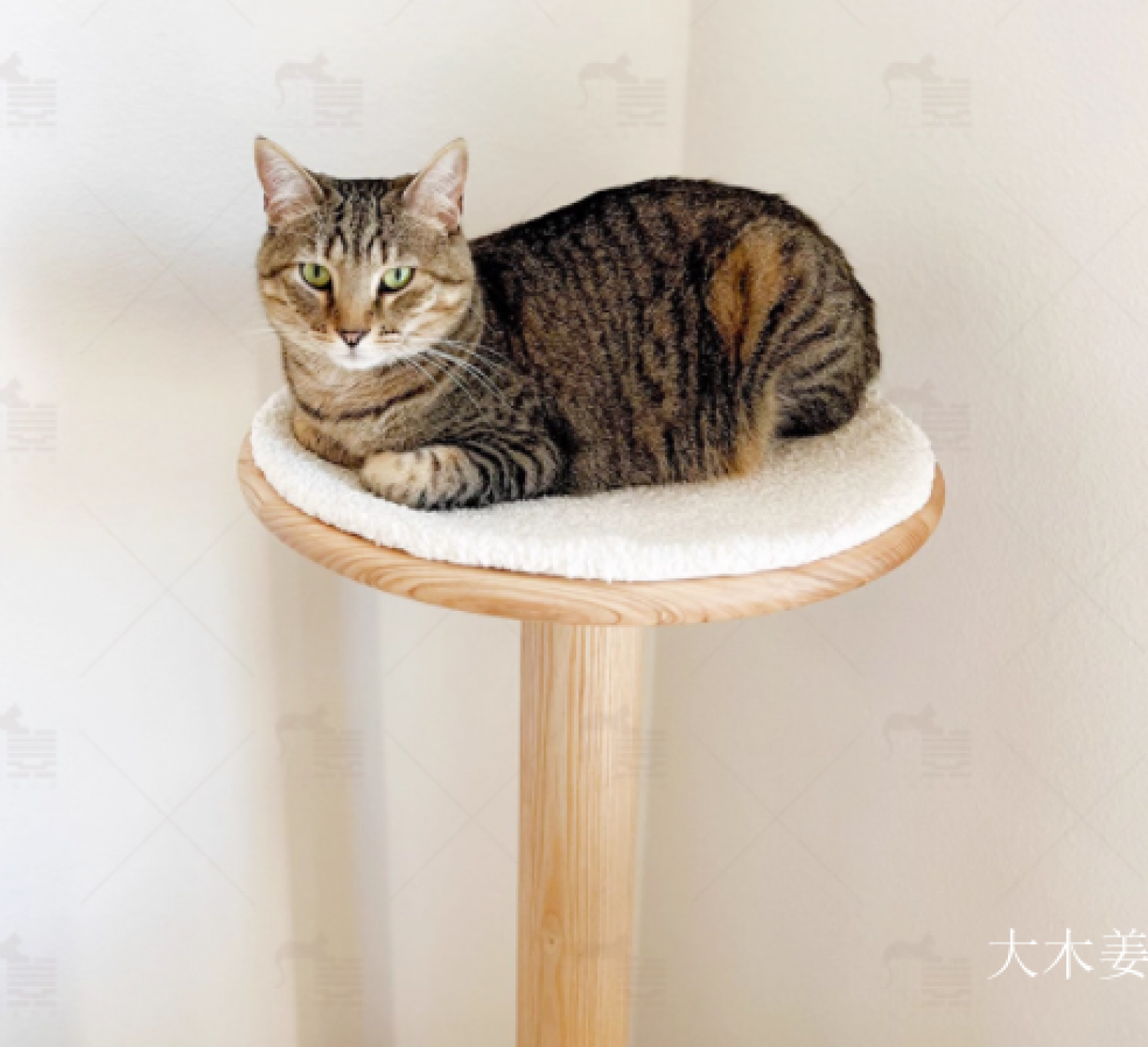 大木姜 Pet furniture Product 《Solid wood cat climbing frame》【图0】