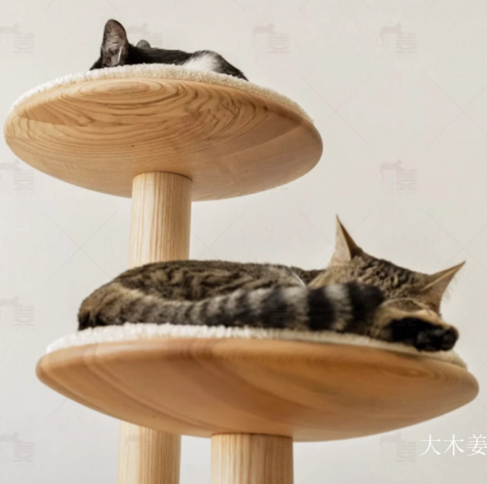 大木姜 Pet furniture Product 《Solid wood cat climbing frame》【图2】