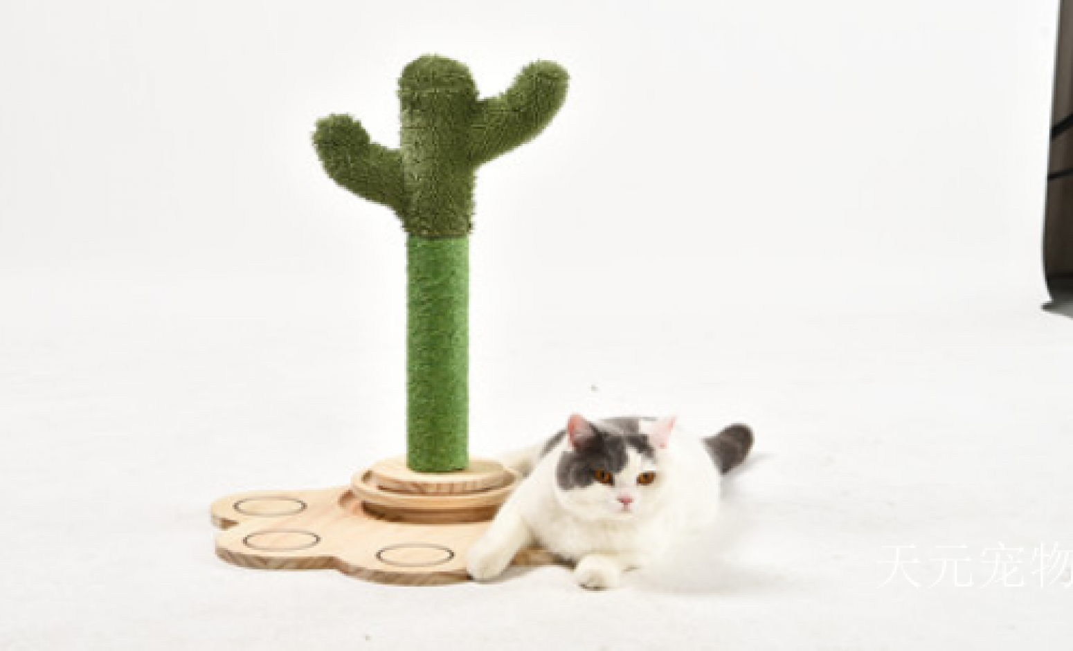 天元宠物 Pet furniture product 《Small Cat Tree - Cactus Cat Platform》