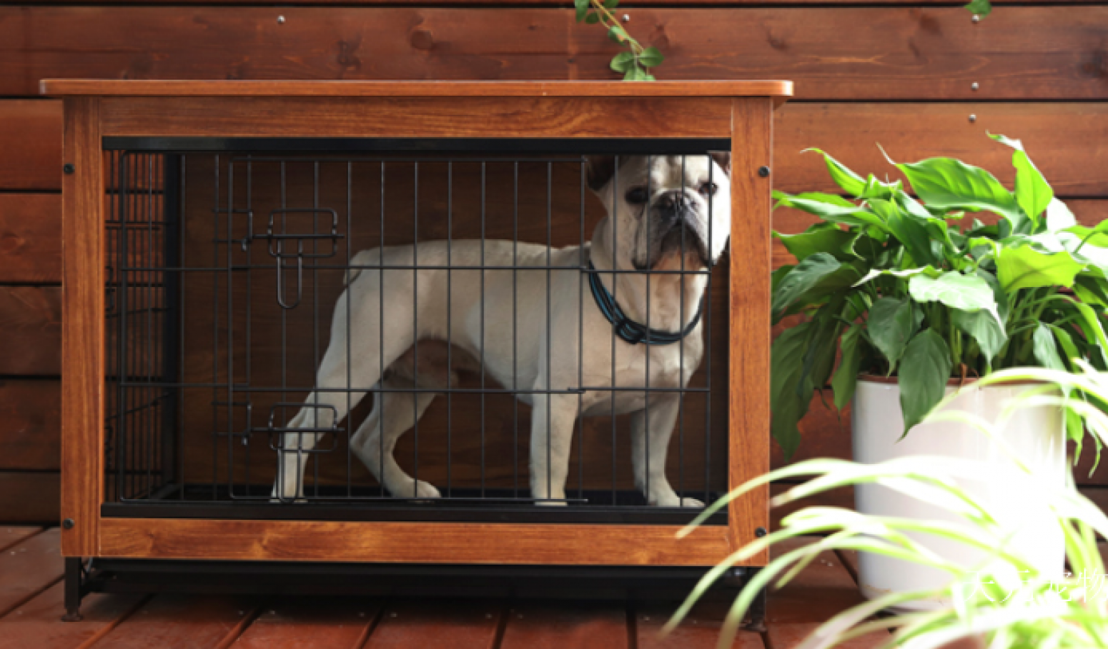天元宠物 Pet furniture Product 《Steel-Wood Combination Dog Cage》【图1】
