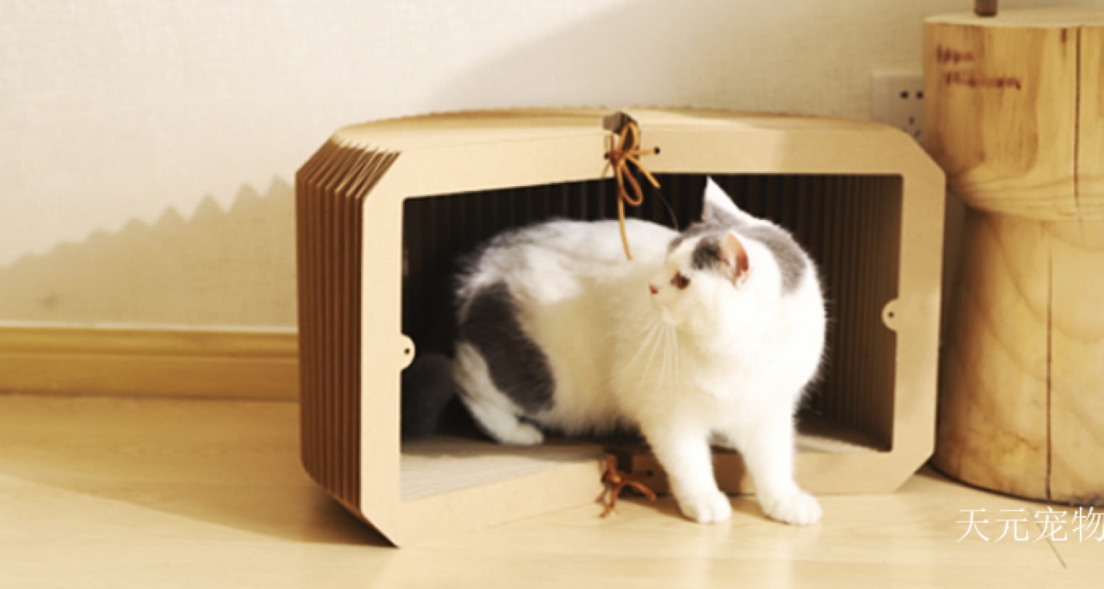 天元宠物 Pet furniture Product 《Accordion Cat Bed Tunnel》【图4】