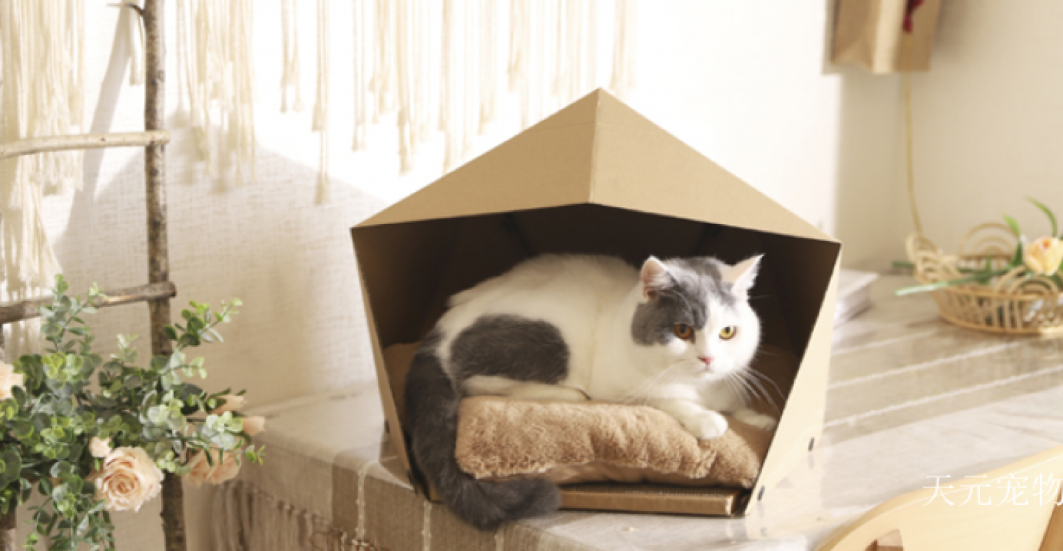天元宠物 Pet furniture Product 《Paper Folded Cat Bed》【图1】