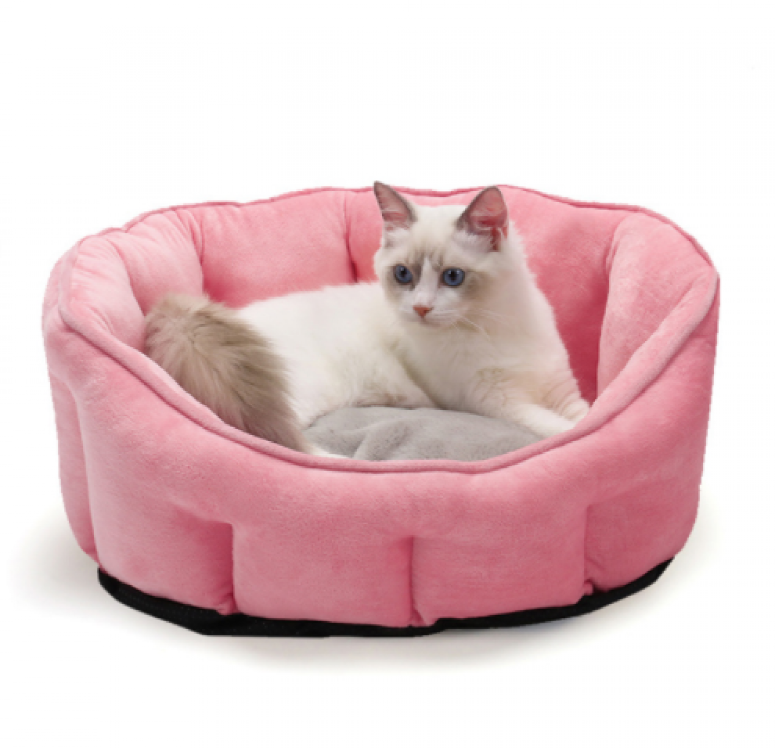 沣沛宠物 Pet furniture product 《QJBD Pet Bed》