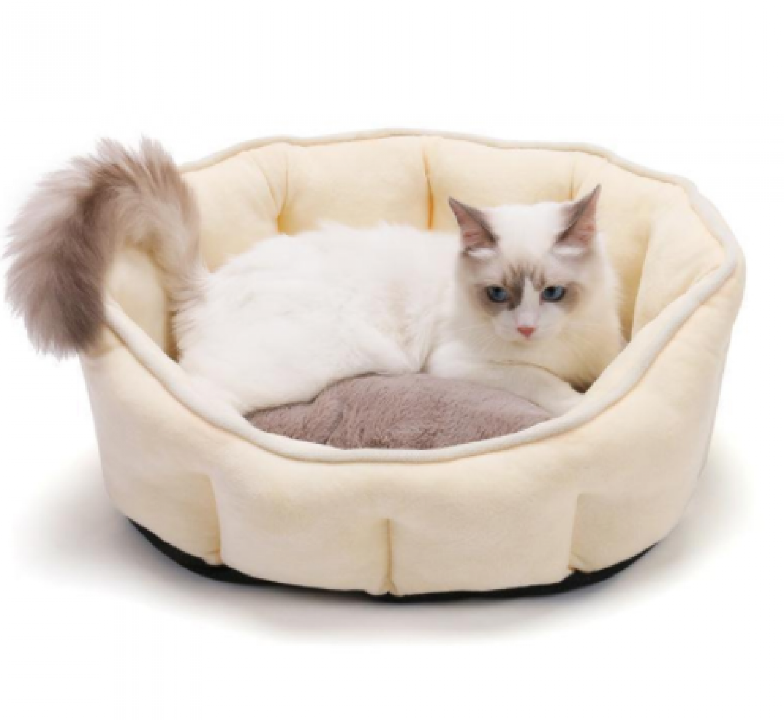 沣沛宠物 Pet furniture Product 《QJBD Pet Bed》【图0】