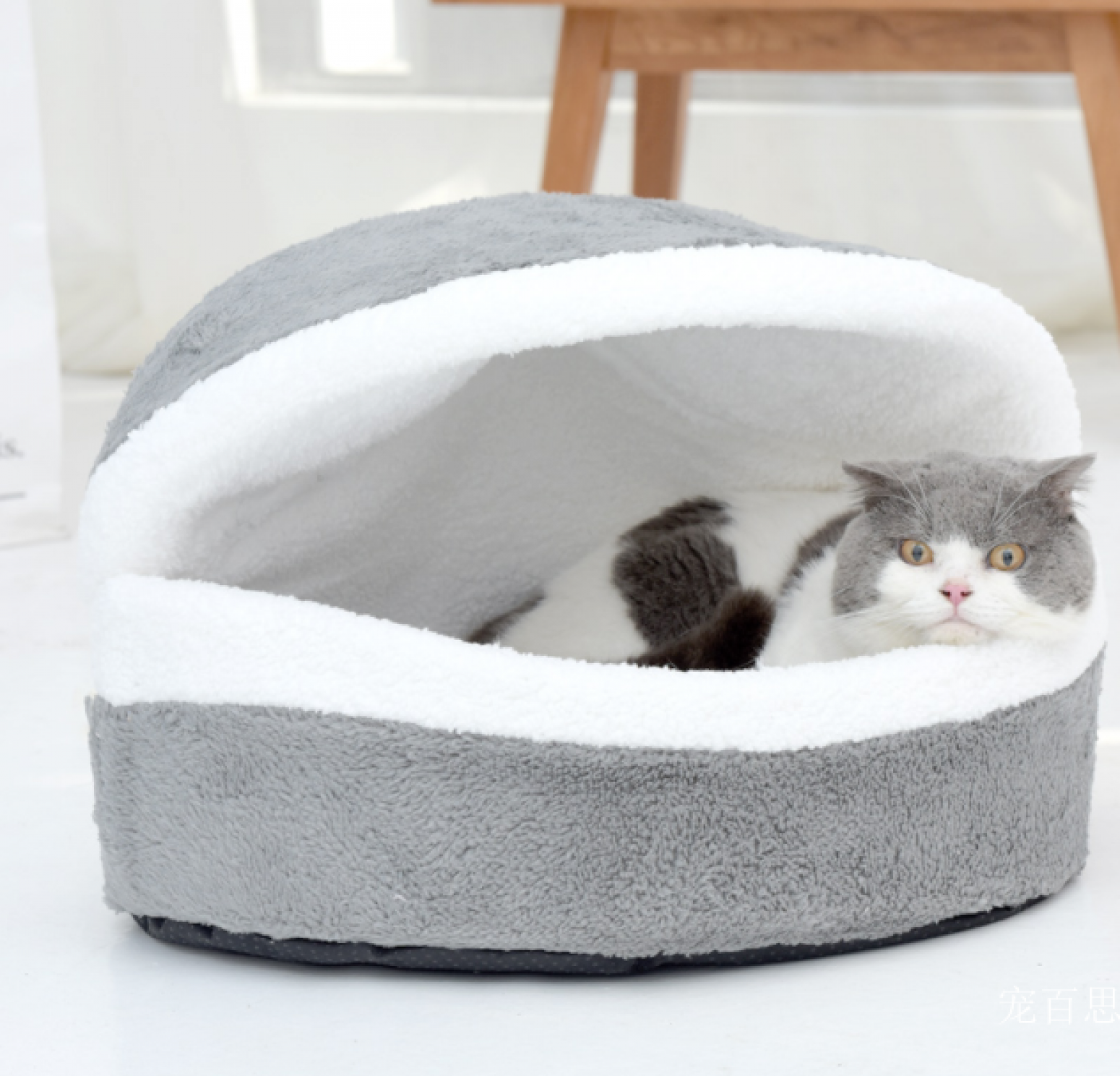 宠百思 Pet furniture Product 《Washable Shell-Shaped Pet Bed》【图1】