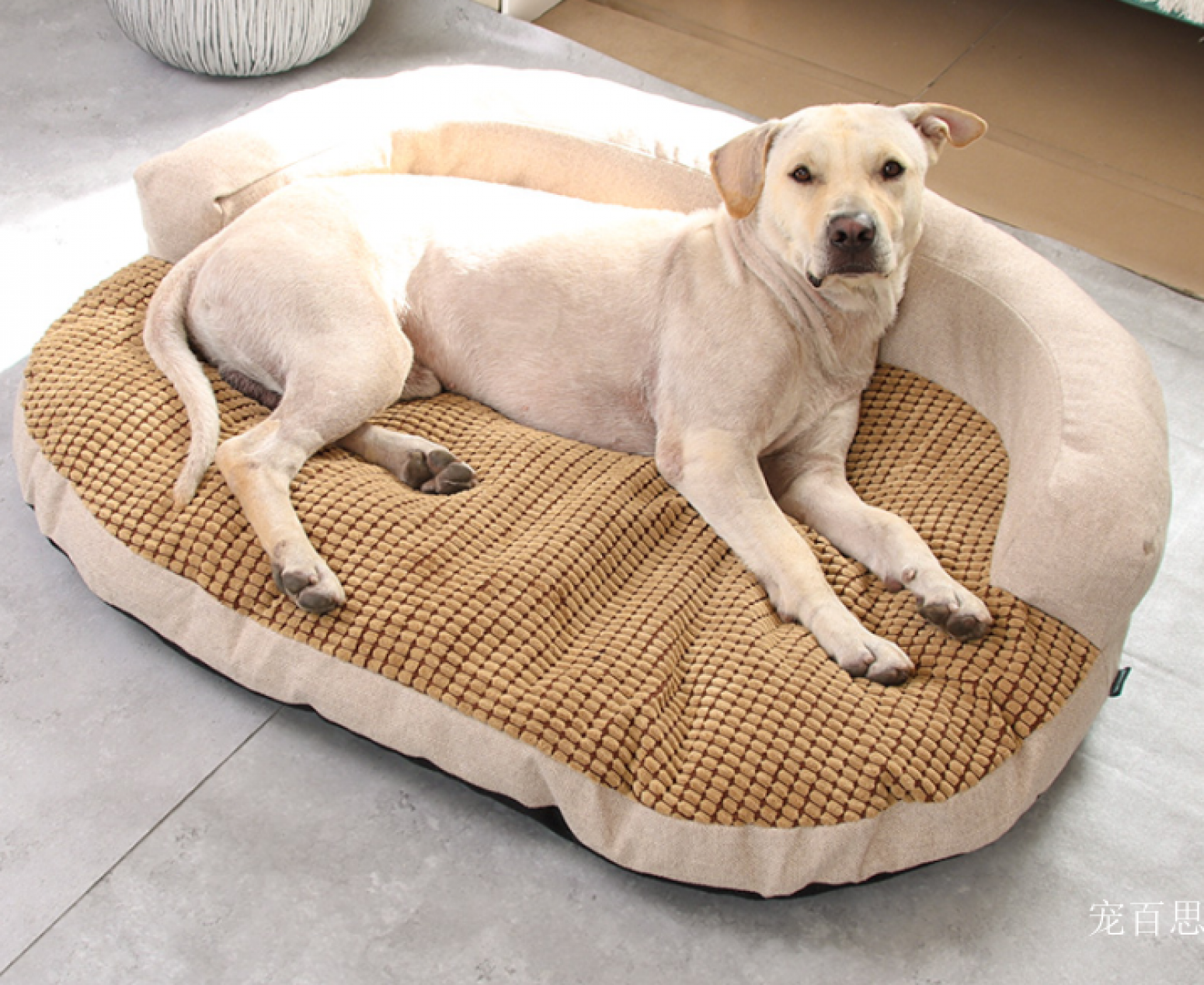 宠百思 Pet furniture Product 《Floya Pet Bed》【图4】