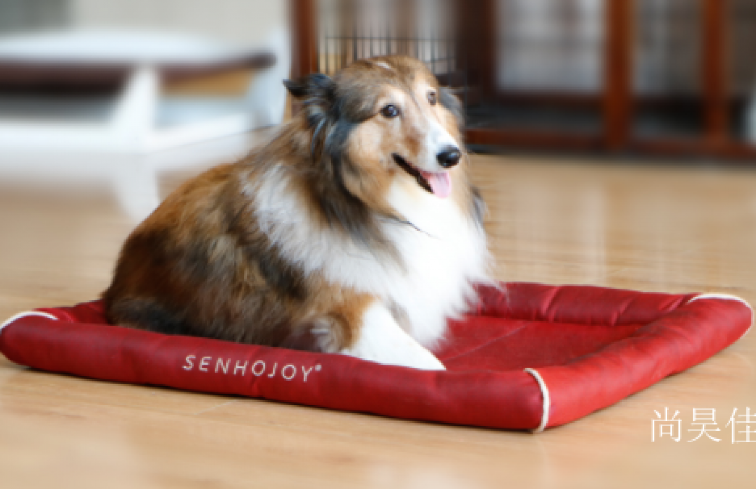 尚昊佳 Pet furniture Product 《High-Quality Oxford Cloth Pet Mat》【图3】
