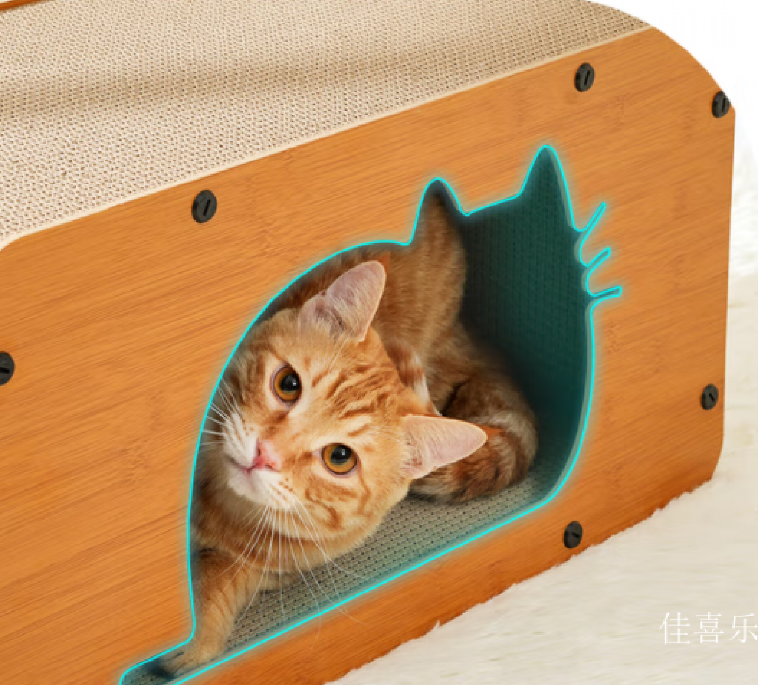 佳喜乐 Pet furniture Product 《Solid Wood Cat Scratcher & Cat Bed Combo》【图1】