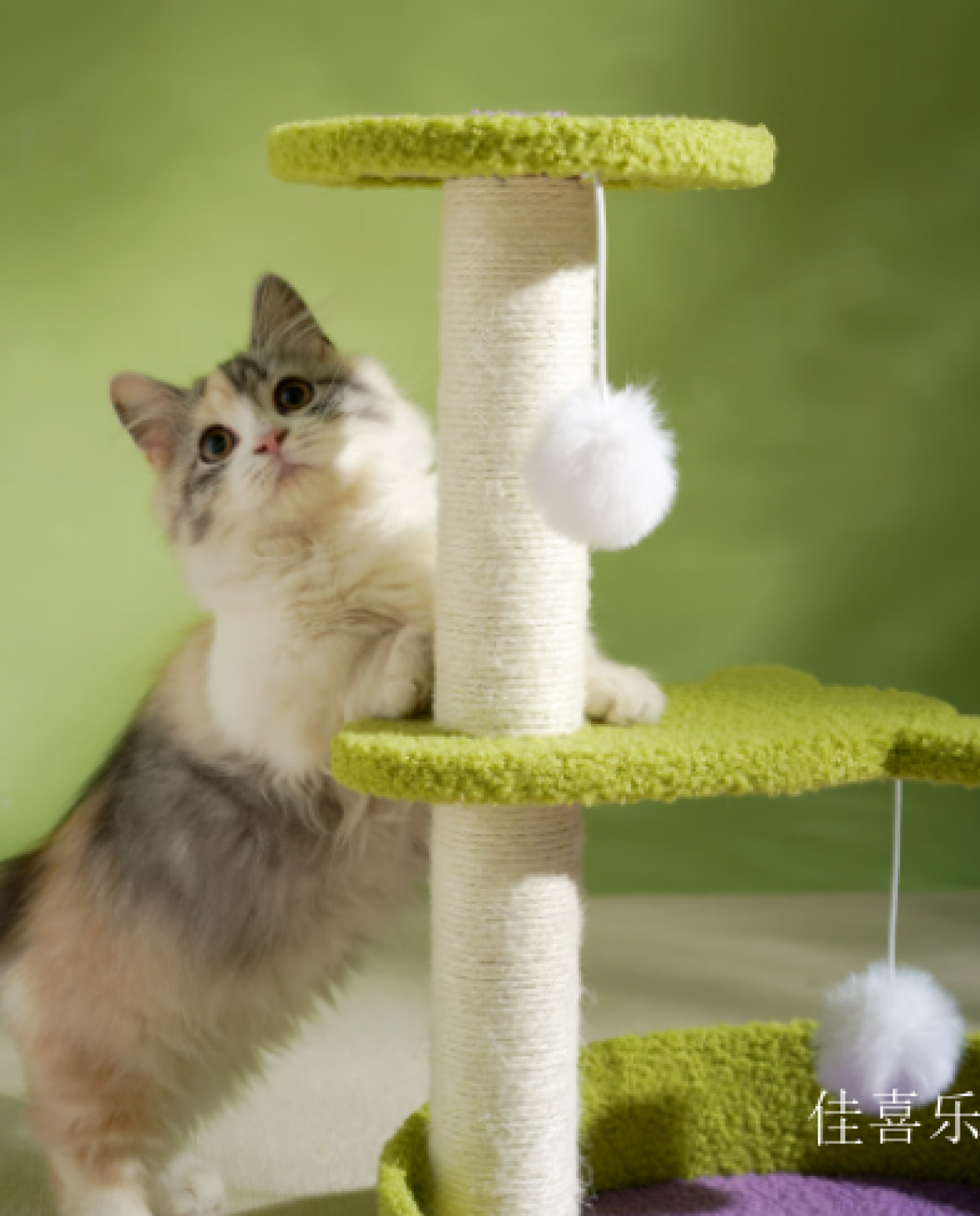 佳喜乐 Pet furniture Product 《Multi-Layer Platform Petal Cat Tree》【图1】