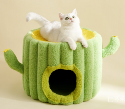 佳喜乐Diary-Several considerations when choosing cat【图1】