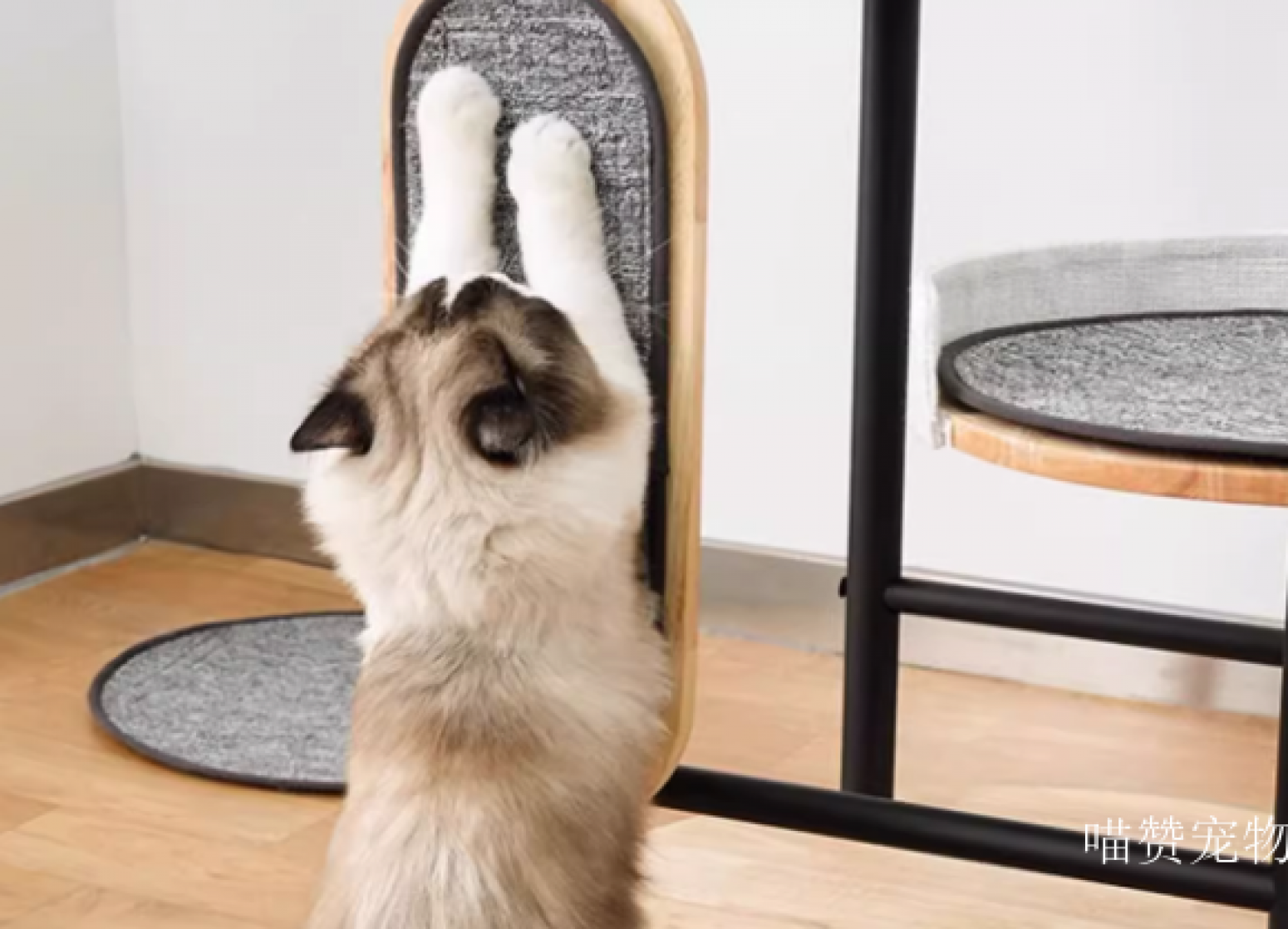 喵赞宠物Pet furnitureProduct《Scratching Post Cat Tree》【图3】