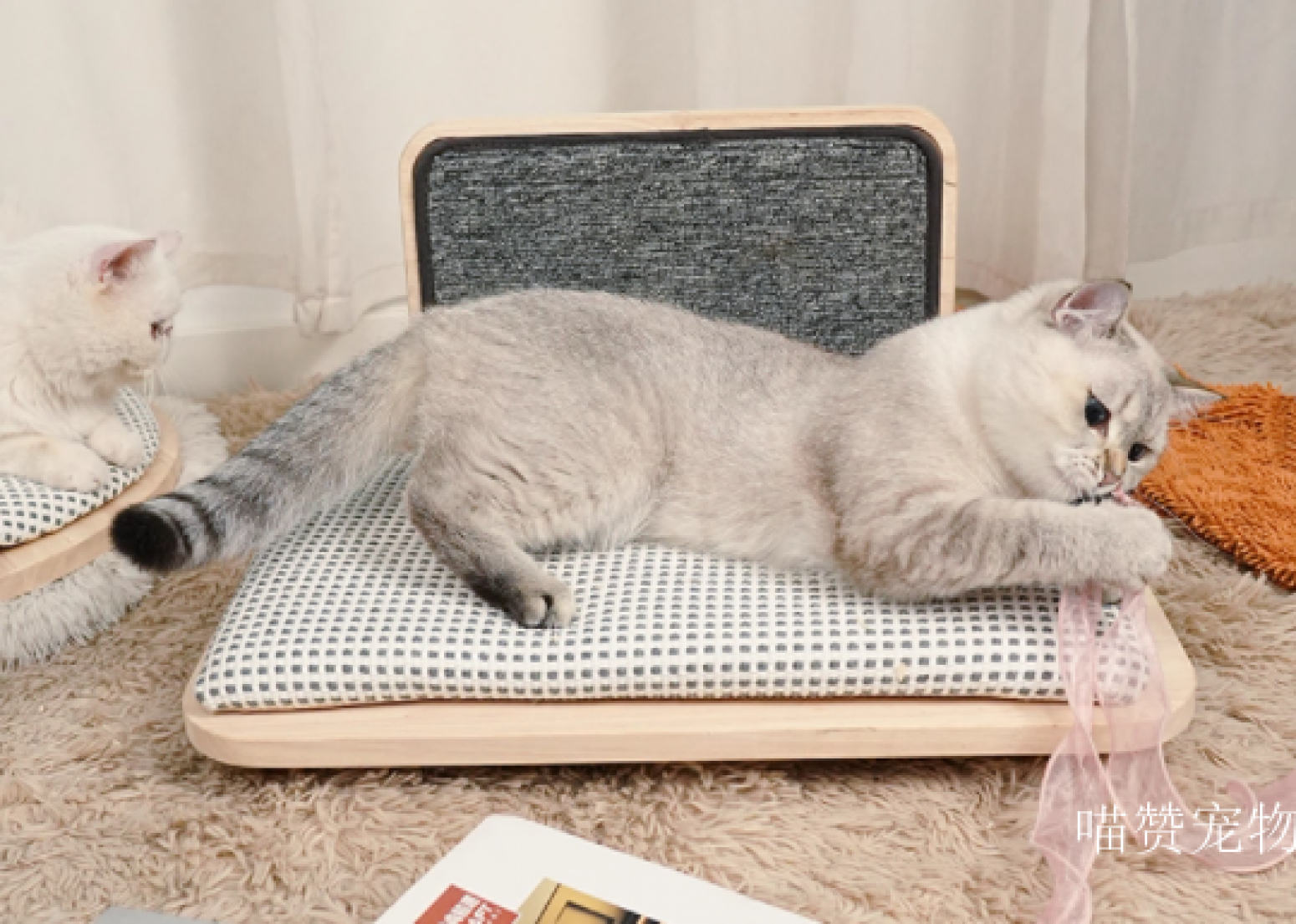 喵赞宠物Pet furnitureProduct《Premium Solid Wood Cat Bed》【图1】