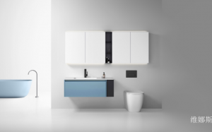 维娜斯 Bathroom furniture product 《F901 Bathroom cabinet》议价