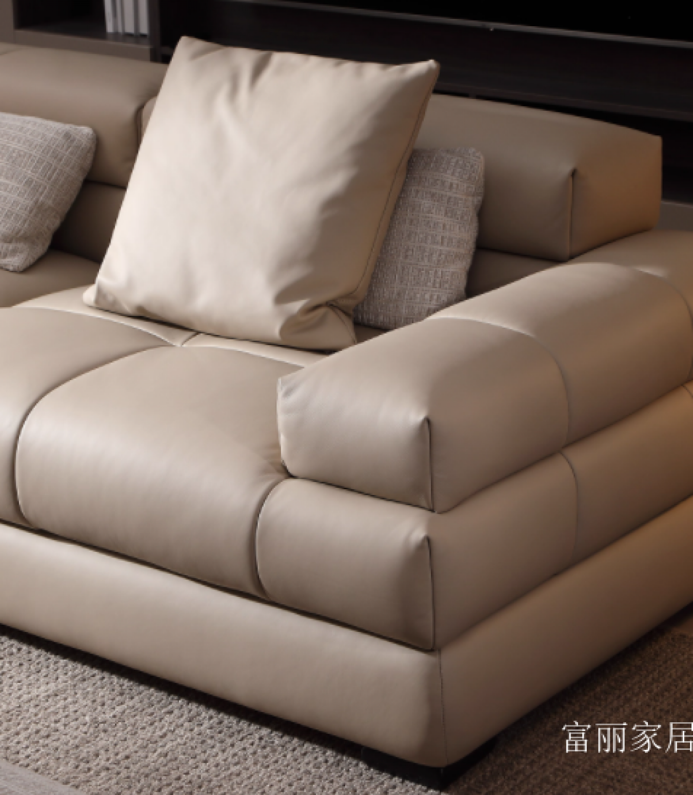 富丽家居 Home Furniture Product 《Terrace high-end pixel leather sofa》【图1】