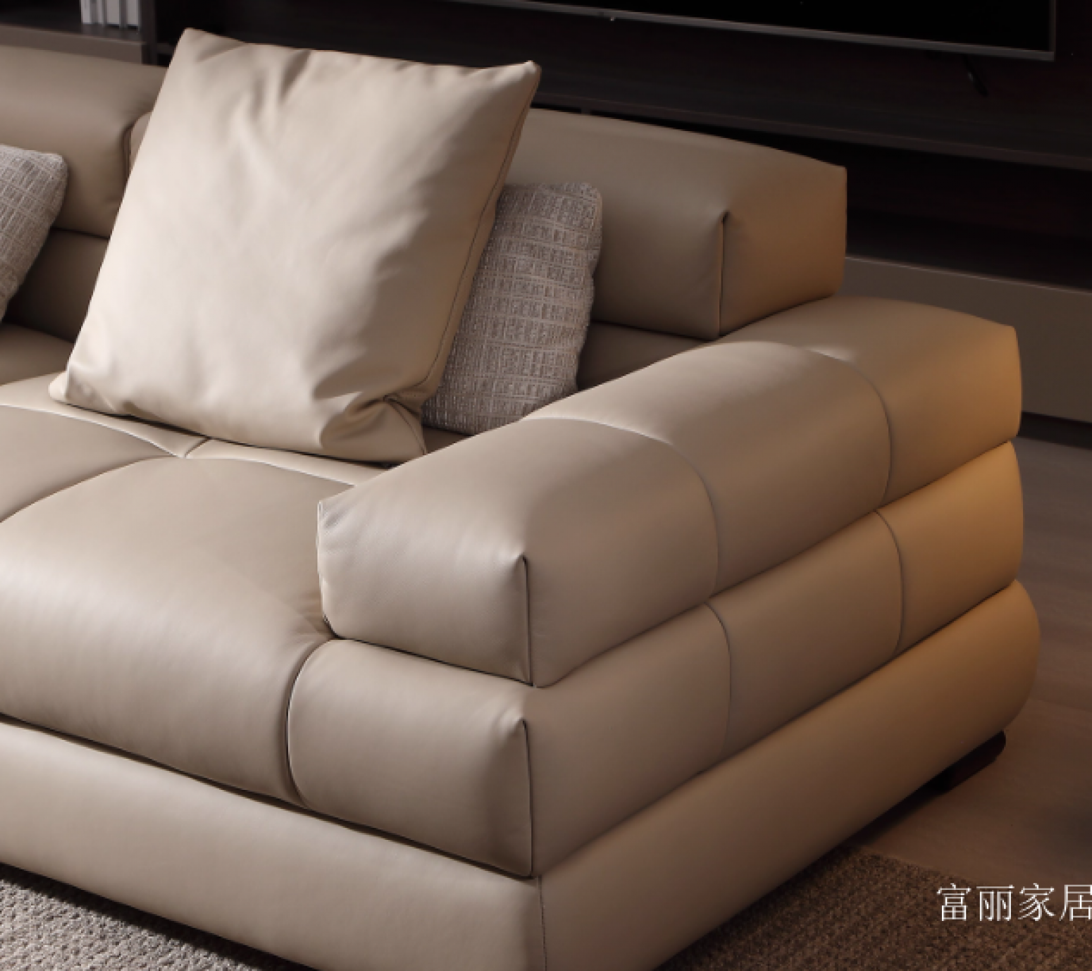 富丽家居 Home Furniture Product 《Terrace high-end pixel leather sofa》【图3】