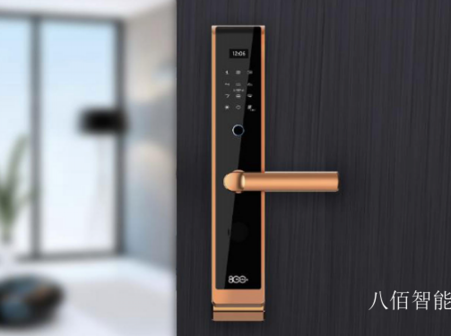 八佰智能 Smart home Product 《Eight hundred home smart lock》【图1】
