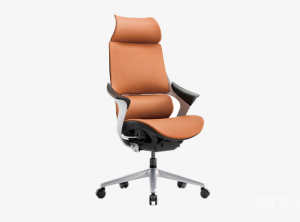 博牌家具 Office furniture product 《The panda one office chair》议价