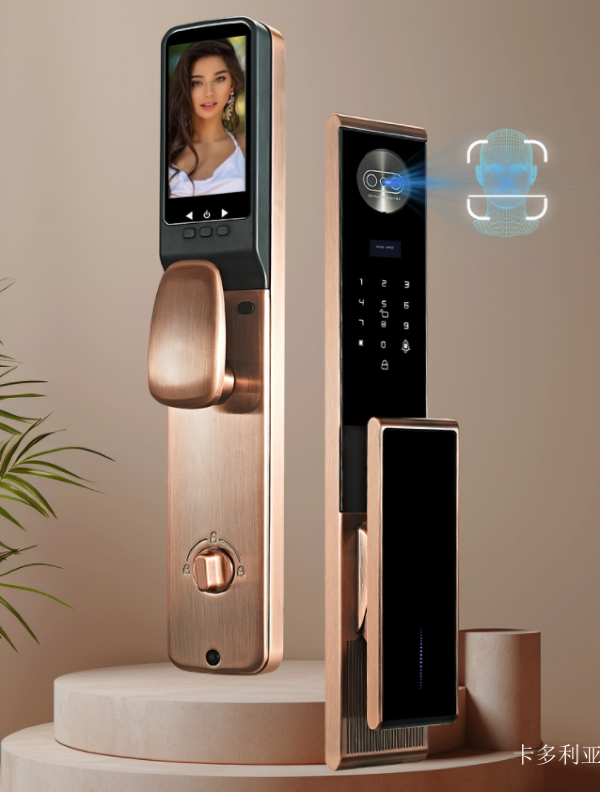 卡多利亚 Smart home product 《Smart lock for anti-theft door》