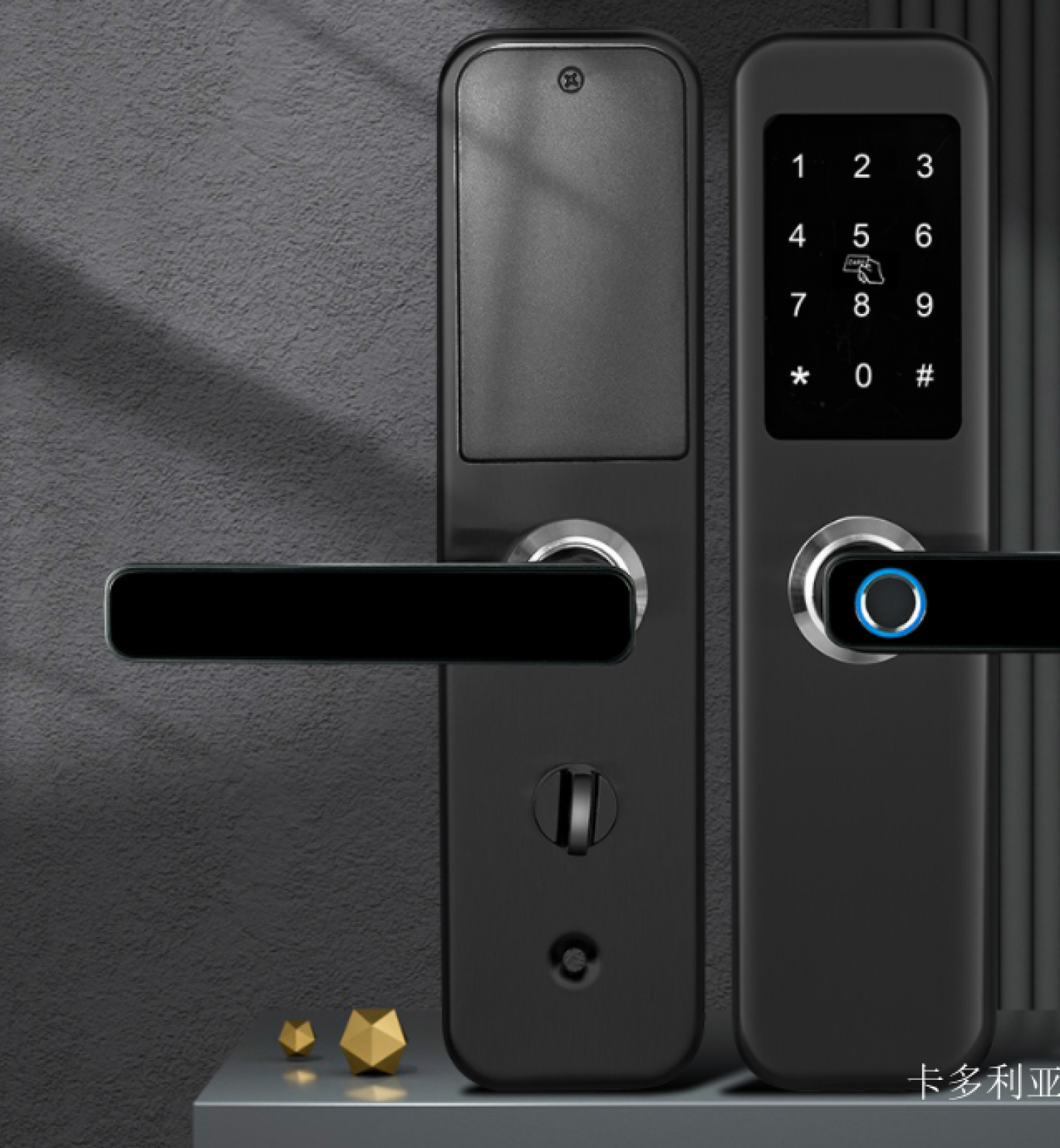 卡多利亚 Smart home product 《Smart lock for wooden doors》