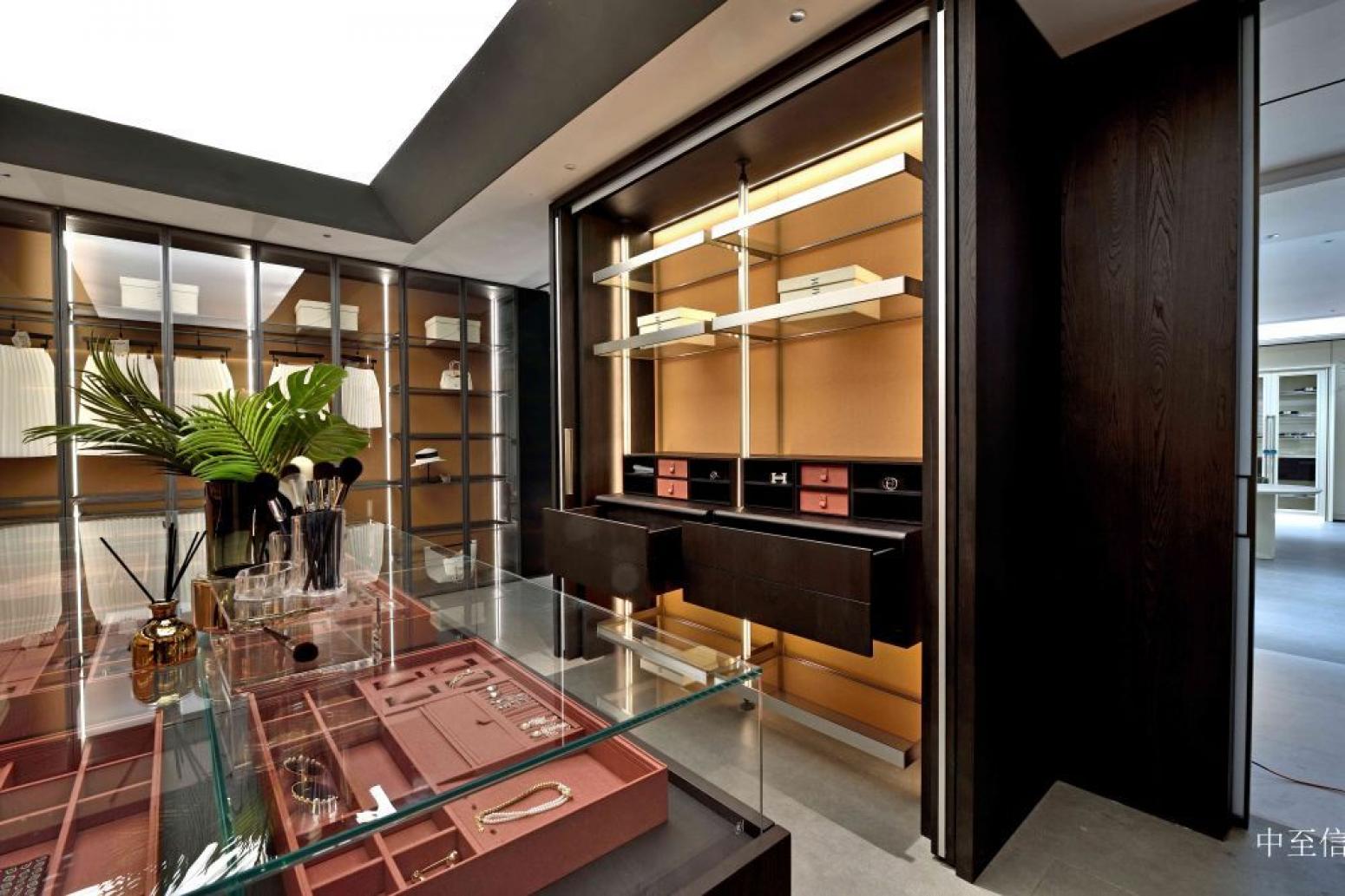 中至信 Home Furniture Product 《Warm brown glass high-end cloakroom》【图2】