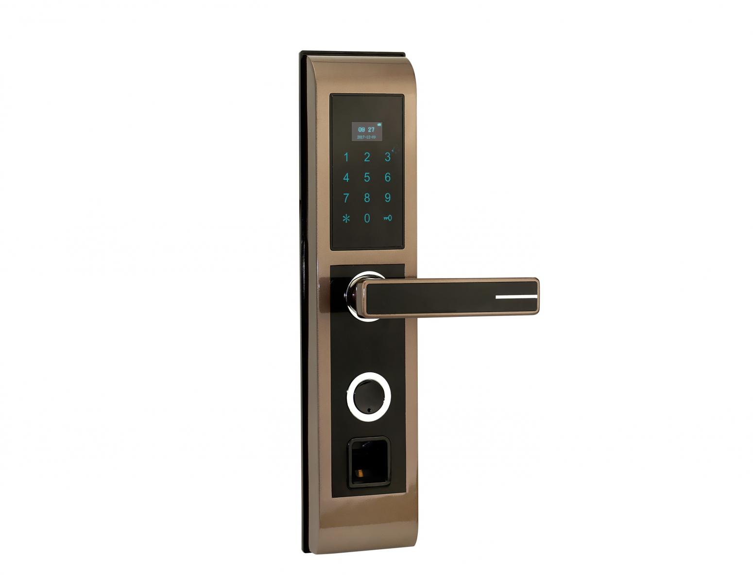 日翔科技 Smart home product 《Brown gold touchscreen smart lock》