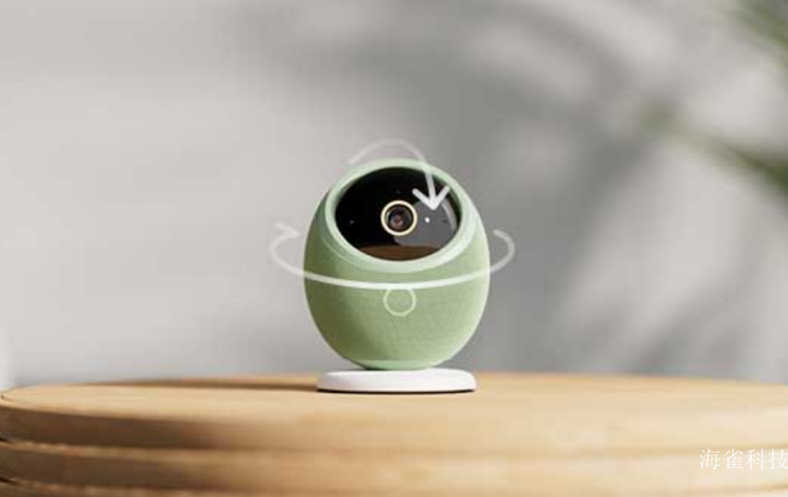 海雀科技 Smart home Product 《Haique Smart Camera》 海雀科技 Smart home Product 《Haique Smart Camera》【图1】