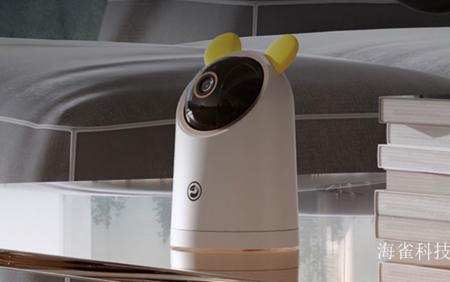 海雀科技 Smart home Product 《Haique Smart Security Camera》 海雀科技 Smart home Product 《Haique Smart Security Camera》【图1】
