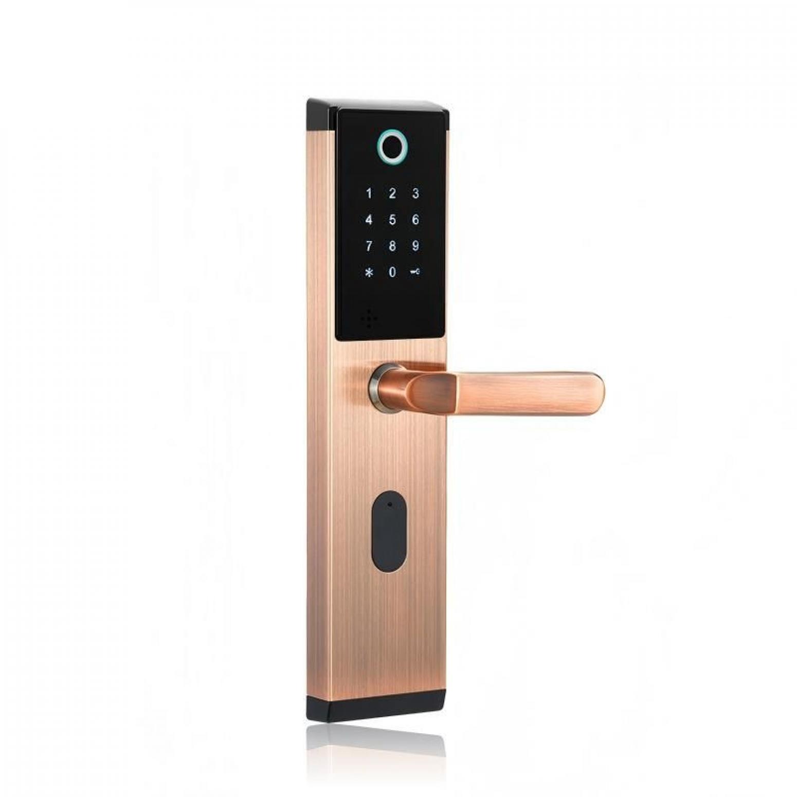 日翔科技 Smart home Product 《Dual-color touch display smart lock》 日翔科技 Smart home Product 《Dual-color touch display smart lock》【图0】