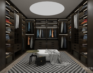 Product picture:Furniture factory 品冠定制 Home Furniture product name 《Dark brown light rhyme art cloakroom》议价