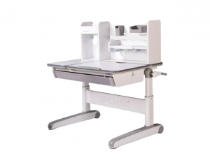 Product picture：Furniture factory赛诺家居Office furnitureproduct name《Starlight Learning Desk》议价