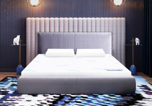 Product picture：Furniture factory邓禄普Home Furnitureproduct name《Latex mattress》议价