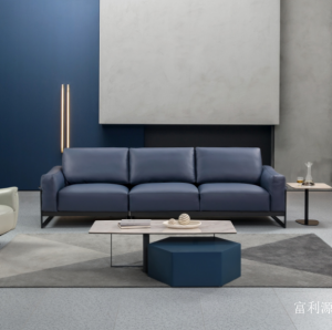 Product picture：Furniture factory富利源Home Furnitureproduct name《K05 soft sofa》议价