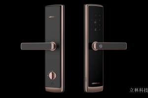 Product picture：Furniture factory立林科技Smart homeproduct name《L13 Smart Lock》议价