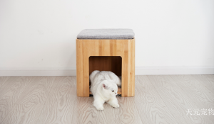 Product picture：Furniture factory天元宠物Pet furnitureproduct name《Multi-Scene Pet Cat Bed》议价