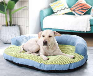Product picture：Furniture factory宠百思Pet furnitureproduct name《Floya Pet Bed》议价